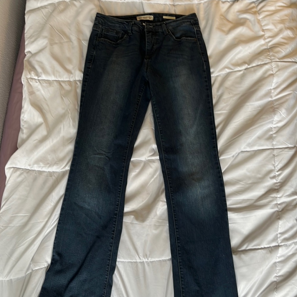 Vintage America Blues boho bootcut size 27